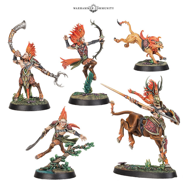 The Warband